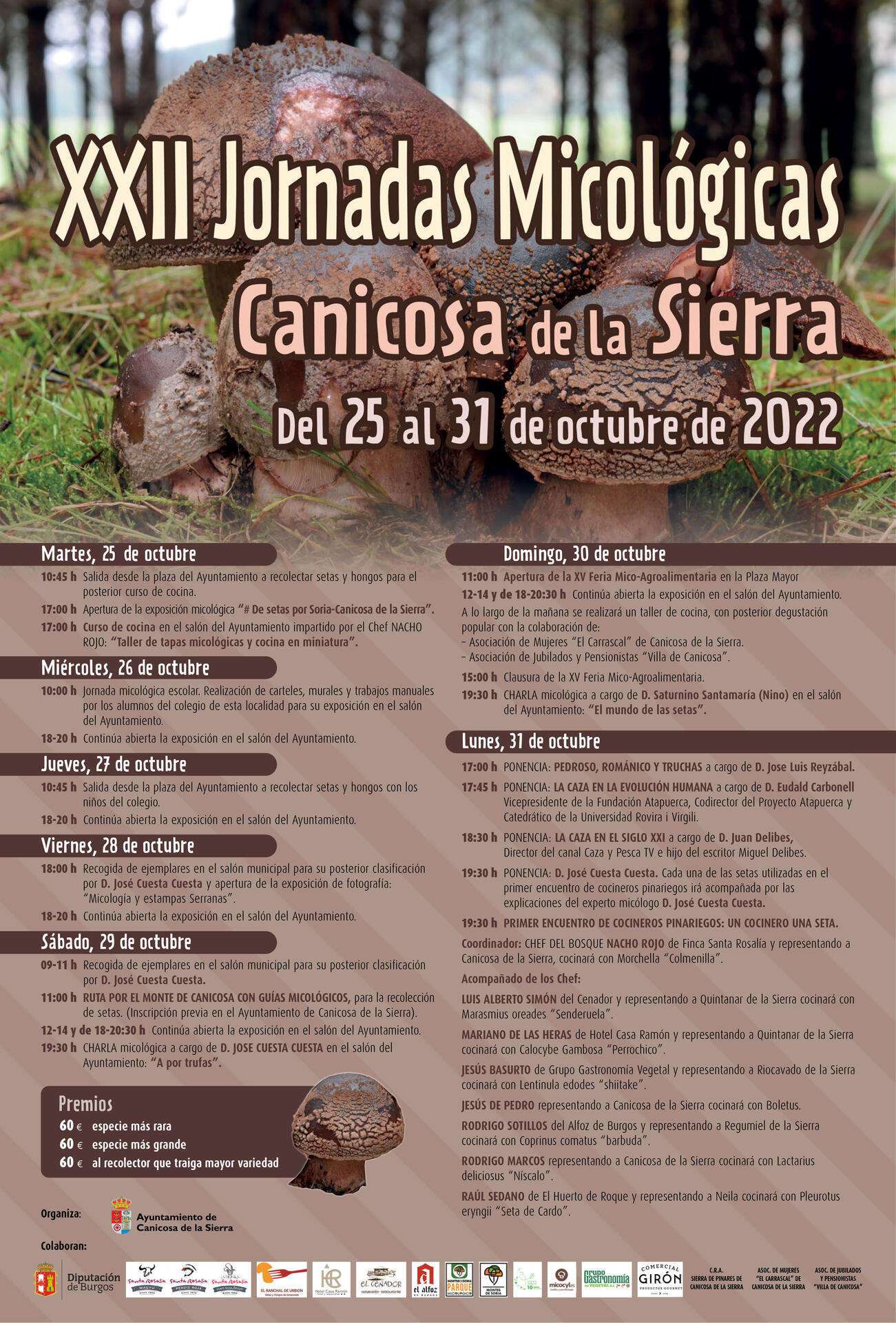 Cartel