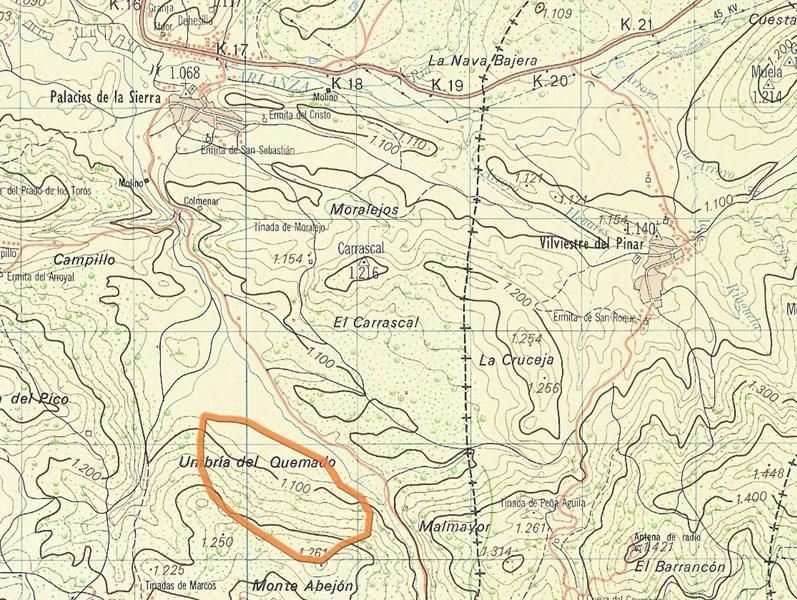 Senderos Pinares-El Valle VIII