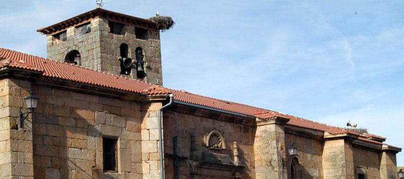 Senderos Pinares-El Valle VIII