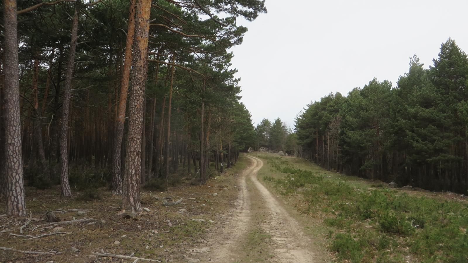 RUTAS BTT