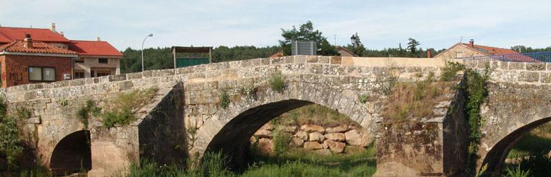 Senderos Pinares-El Valle VI